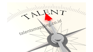 "talents mapping test"